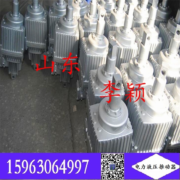 推动器型号ED50/6 电力液压推动器 金年会