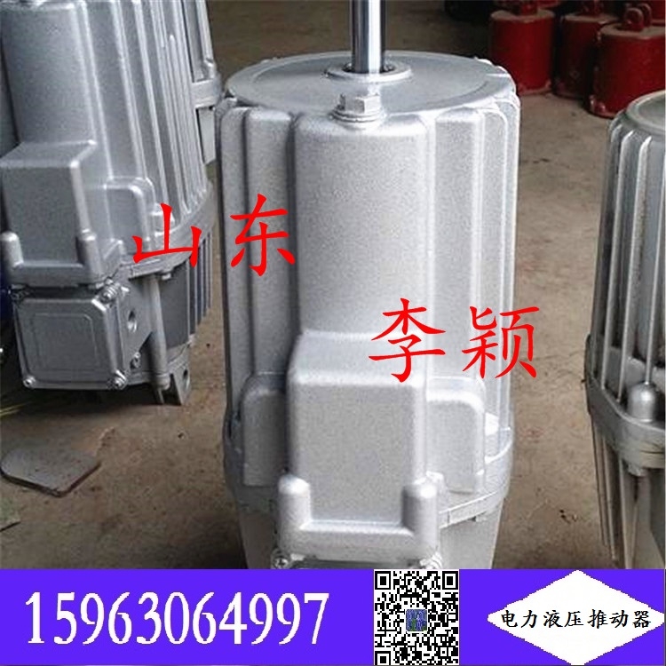 金年会现货 型号ED23/4电力液压推动器 ED型