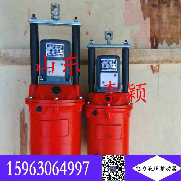 YT1-45/4,YT1-80/6电力液压推动器 前途似锦2023