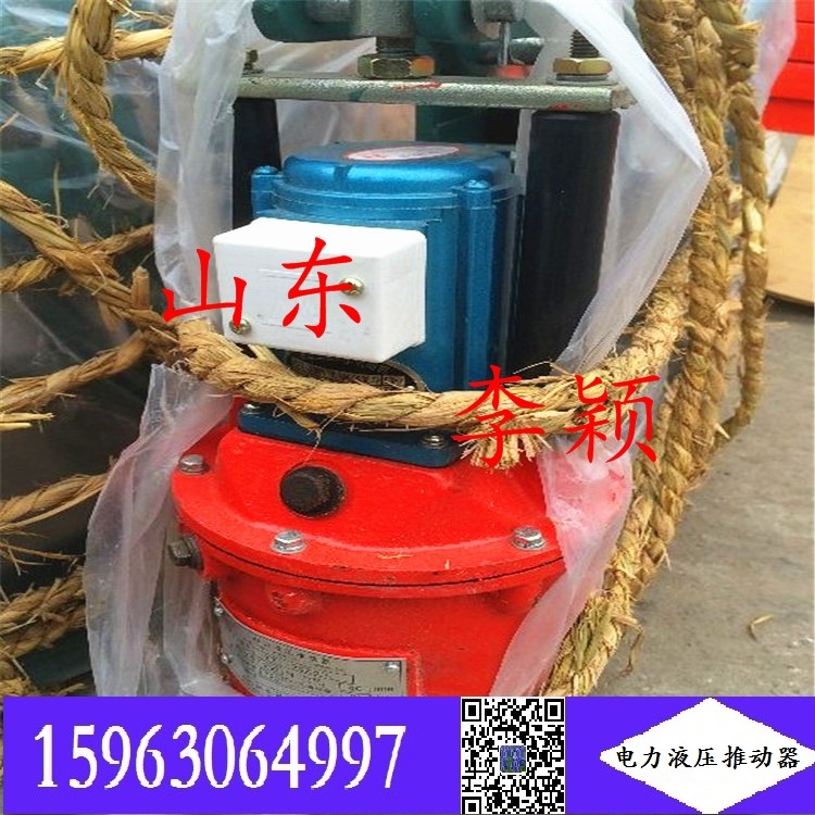 电力液压推动器的型号YT1-25/4 YT1-50/6